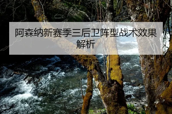 阿森纳新赛季三后卫阵型战术效果解析