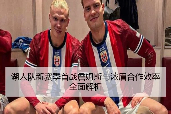 湖人队新赛季首战詹姆斯与浓眉合作效率全面解析